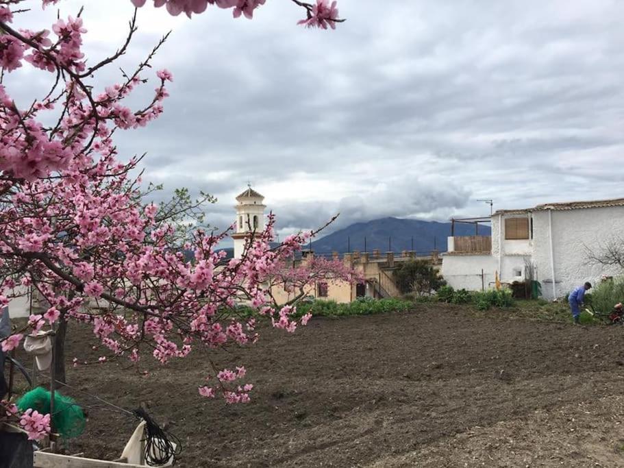 La Casa Rural De Paco Y Ana Pitres Luaran gambar
