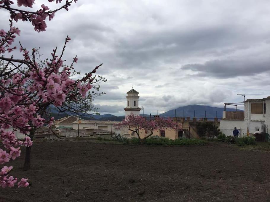 La Casa Rural De Paco Y Ana Pitres Luaran gambar